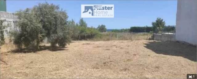 (For Sale) Land Plot for development || East Attica/Artemida (Loutsa) - 369 Sq.m, 75.000€ 