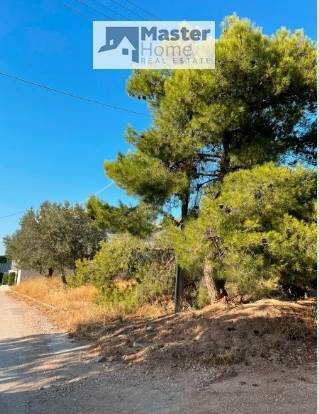 (For Sale) Land Plot || East Attica/Kalyvia-Lagonisi - 412 Sq.m, 120.000€ 