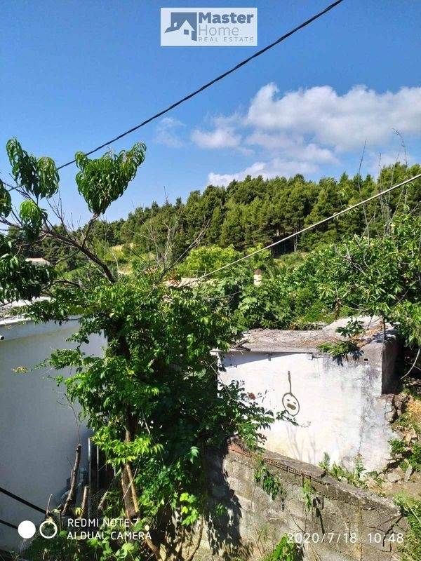 (Προς Πώληση) Αξιοποιήσιμη Γη Οικόπεδο || Ν. Εύβοιας/Νηλέας - 238 τ.μ, 45.000€ 