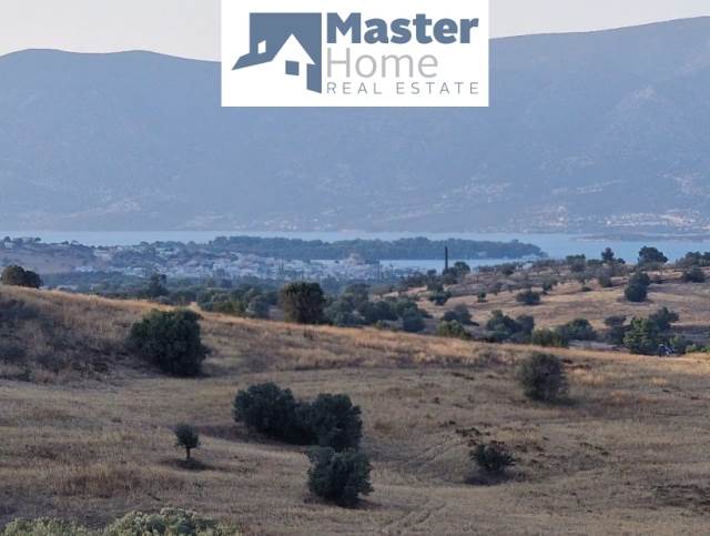 (For Sale) Land Plot || Argolida/Kranidi - 11.872 Sq.m, 160.000€ 