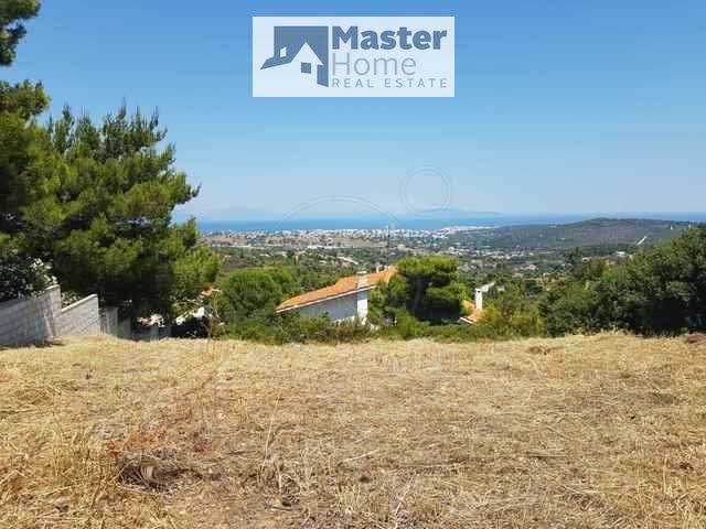 (Προς Πώληση) Αξιοποιήσιμη Γη Οικόπεδο || Ανατολική Αττική/Ραφήνα - 600 τ.μ, 350.000€ 