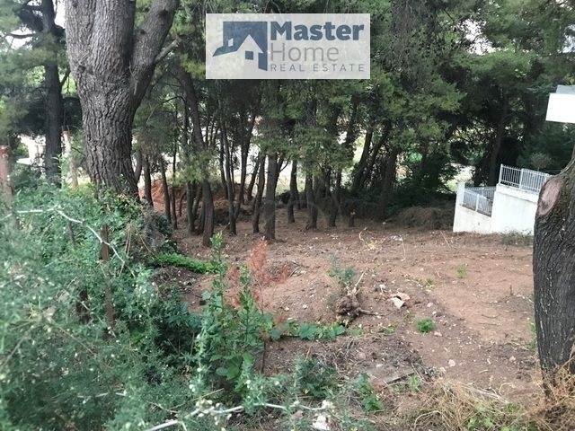 (Προς Πώληση) Αξιοποιήσιμη Γη Οικόπεδο || Ανατολική Αττική/Άγιος Στέφανος - 840 τ.μ, 270.000€ 