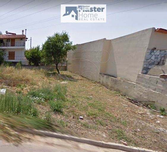 (Προς Πώληση) Αξιοποιήσιμη Γη Οικόπεδο || Ανατολική Αττική/Παλλήνη - 252 τ.μ, 80.000€ 